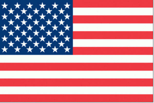 Amerikaanse vlag 50x75cm vlaggen Amerika