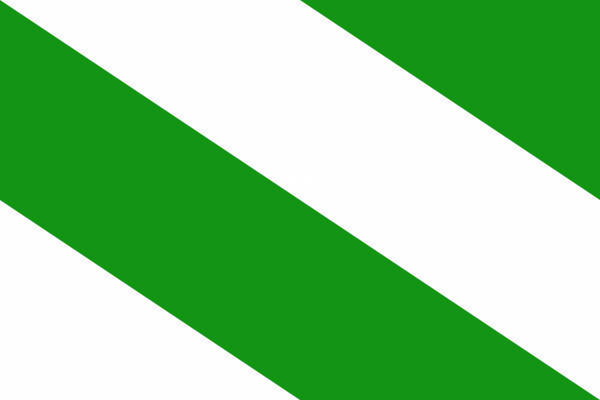 Vlag Evere