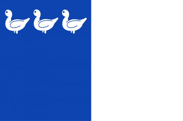 Grote vlag Thuin
