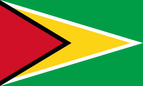 vlag Guyana | Guyanese vlaggen 100x150cm