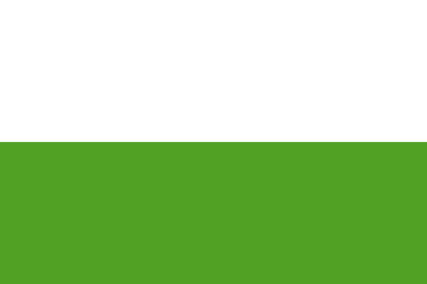 Vlag Aalten 70x100cm