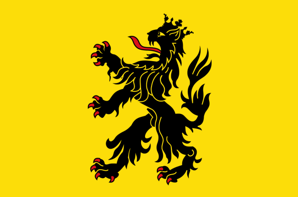 Vlag Hulst 70x100cm