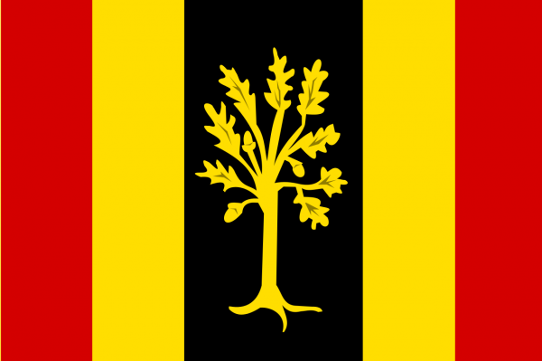 Vlag Waalwijk 30x45