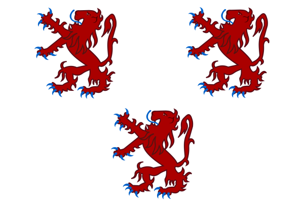 Vlag Haaltert 120x180cm