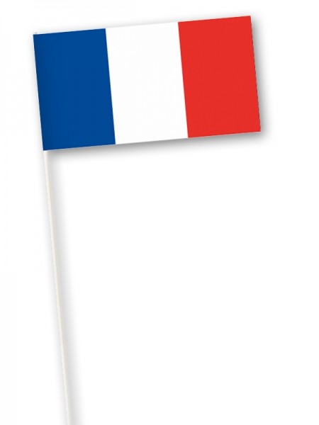 Zwaaivlag Frankrijk 11x21