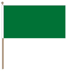 Groene zwaaivlag 20x30cm