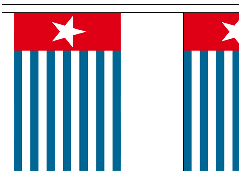 Vlaggenlijn West Papua 3m Morgenster
