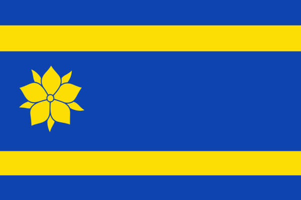 Vlag Hattem 70x100cm
