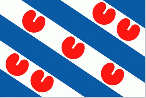 Provincievlag-Friesland-Friese-vlag-20x30-1