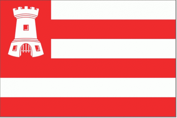 Vlag gemeente Alkmaar 30x45cm | Alkmaarse vlaggen