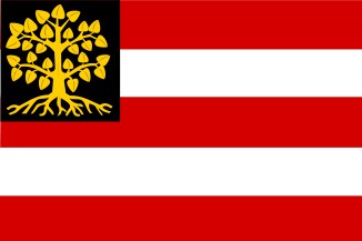 Vlag Den Bosch 30 x 45cm