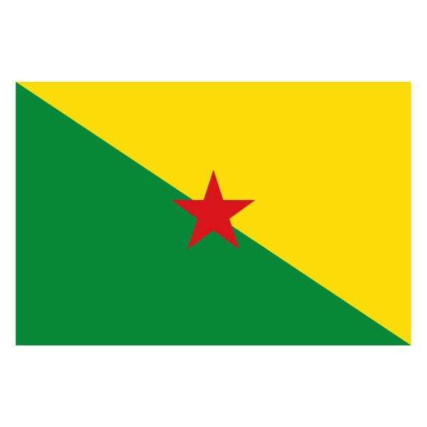 vlag Frans-Guyana 100x150cm niet officiele gevelvlag