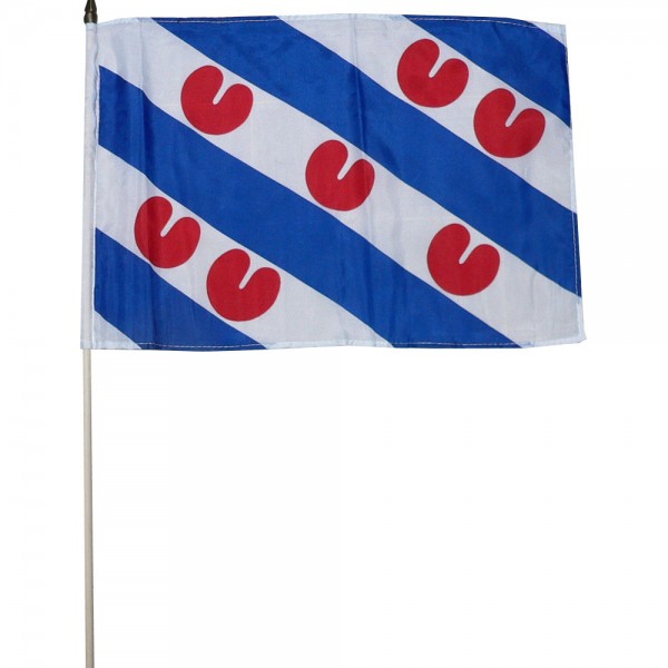 Zwaaivlag Friesland xl 50x70cm
