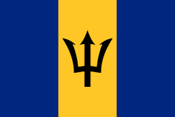 vlag Barbados 50x75cm bootvlag