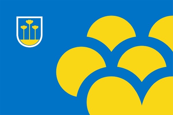 Vlag Zoetermeer 30x45cm