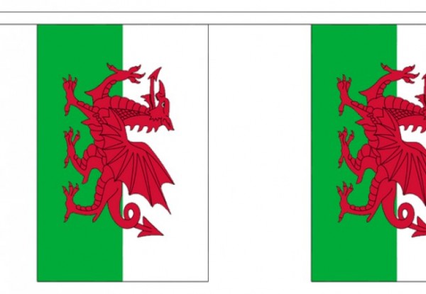 Vlaggenlijn Wales Welshe vlaggenlijn 3m