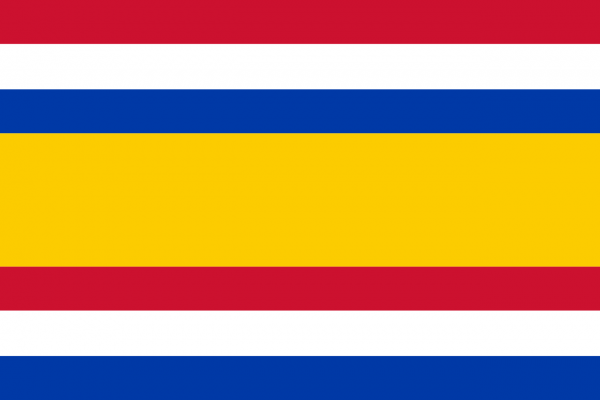 Vlag Tholen 120x180cm