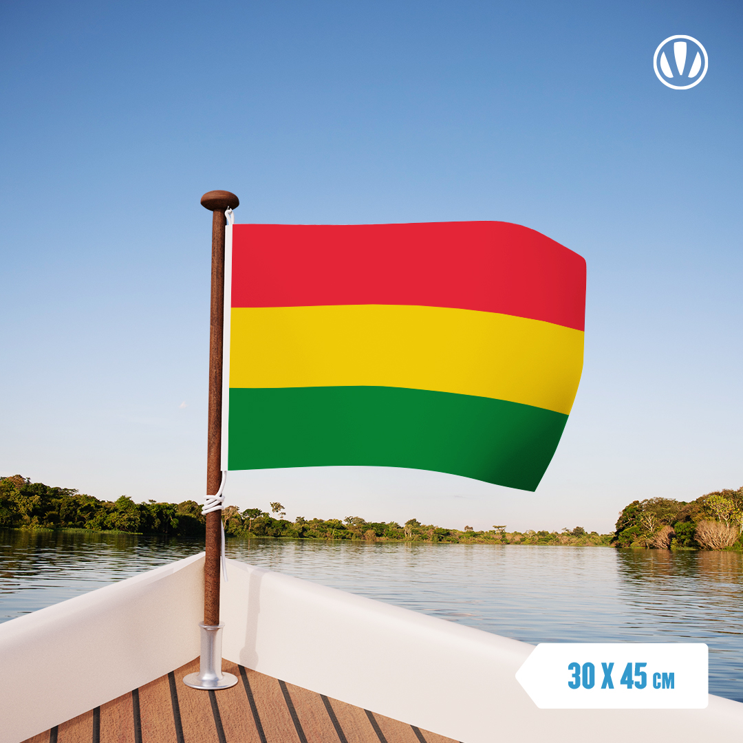 Vlag carnaval Limburg rood/geel/groen 30x45 cm voordelig kopen bij Vlag carnaval Limburg rood/geel/groen 30x45 cm voordelig kopen bij