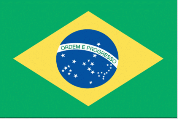 Vlag Brazilie Braziliaanse vlaggen 30x45cm gastenvlag