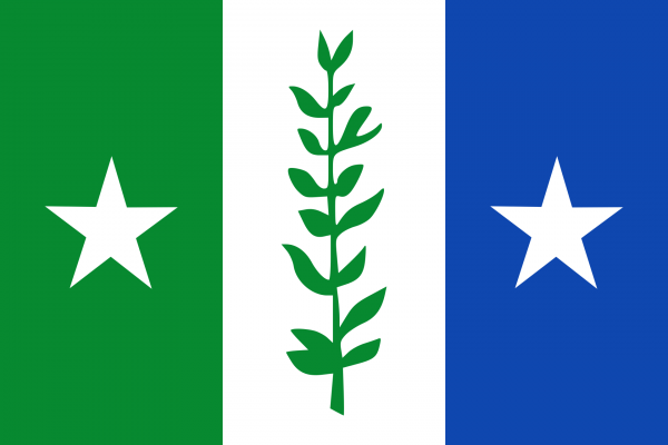 Vlag Zwijndrecht (Belgie) 100x150cm gevelvlag