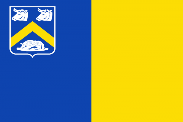 Vlag Essen 100x150cm gevelvlag