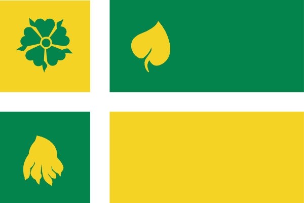 Vlag Hof van Twente 200x300cm mastvlag