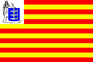 Vlag gemeente Enkhuizen | Enkhuizer vlaggen 30x45cm