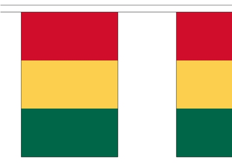 Vlaggenlijn Carnaval Limburg stof XL rood/geel/groen