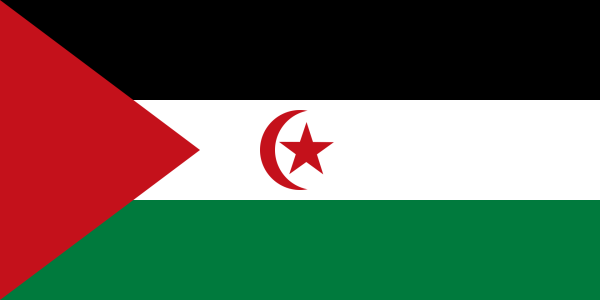 Vlag Westelijke Sahara 70x100cm