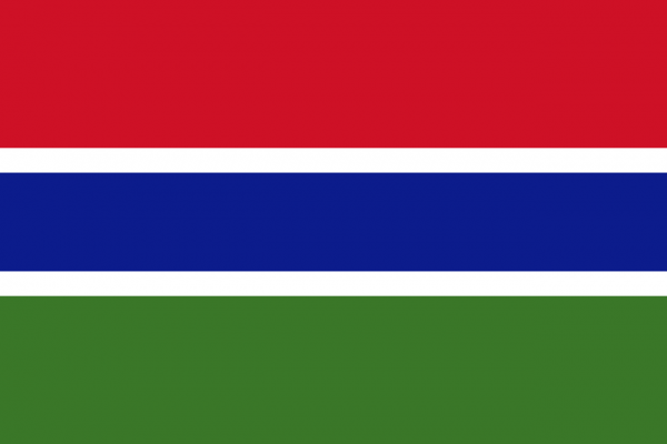 Zwaaivlag Gambia 15x22,5cm | stof
