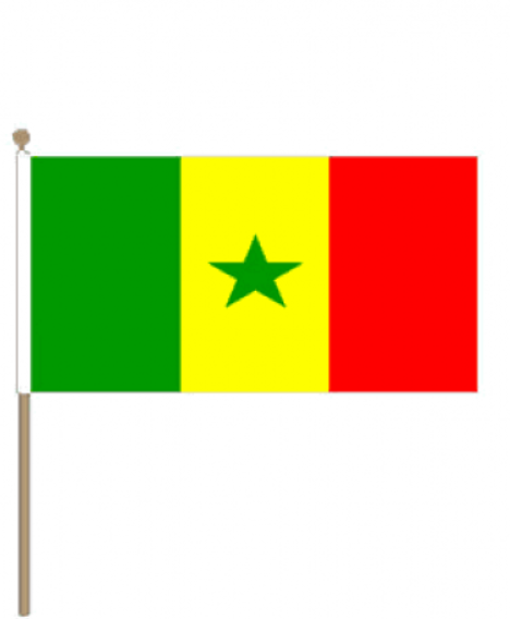Zwaaivlag Senegal 15x22,5cm | Stof