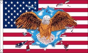 Eagle USA 90x150cm Amerikaanse vlag