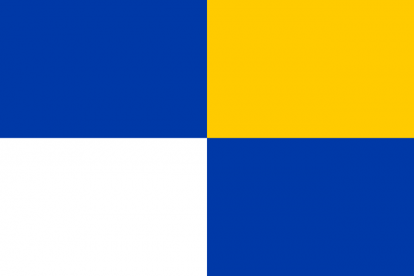 Vlag Winterswijk 30x45