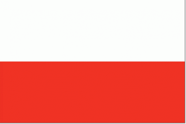 Vlag Polen Poolse vlaggen 30x45cm gastenvlag