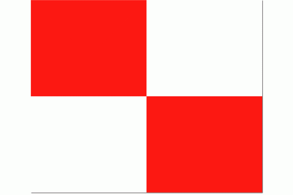 Seinvlag U Uniform 37x45cm sein vlag