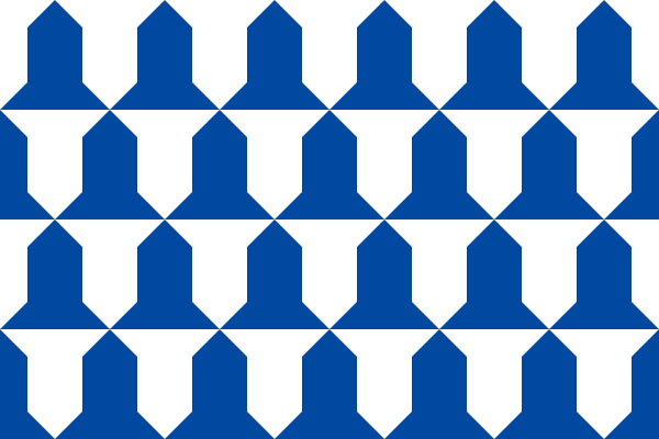 Vlag Awans 120x180cm