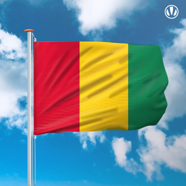 Mastvlag Guinee 150x225cm