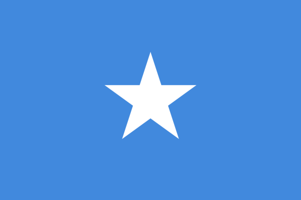 Vlag Somalië 70x100cm