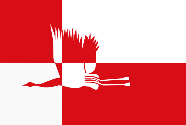 Vlag Cranendonck 70x100cm