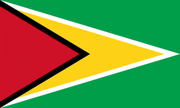 Vlag Guyana 30x45cm