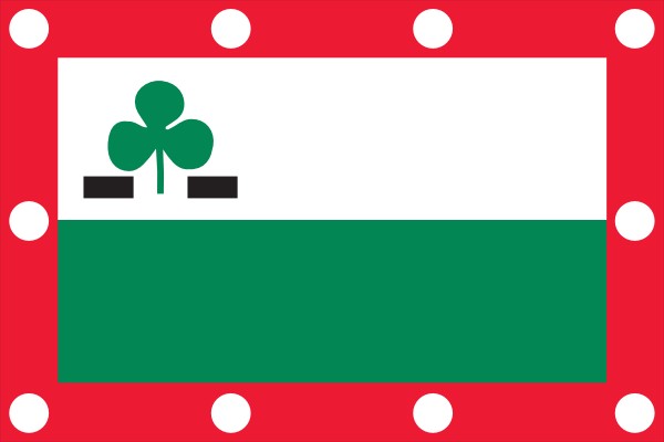 vlag Meppel | Meppelse vlag 70x100cm 
