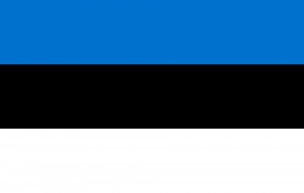 Vlag Estland 120x180cm