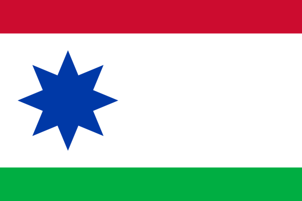 Vlag Achtkarspelen 70x100cm