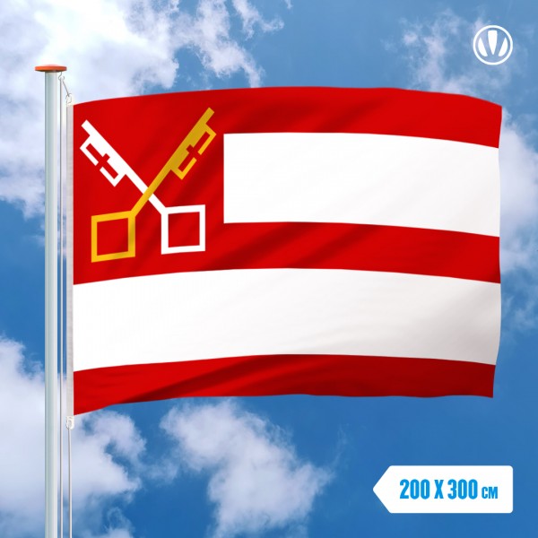 Grote Mastvlag Boxtel