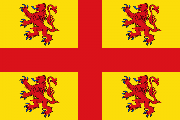 Grote vlag Steenput
