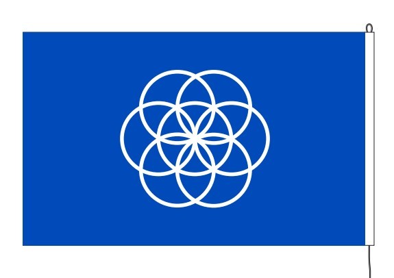 Earthflag 20x30cm courtesy flag
