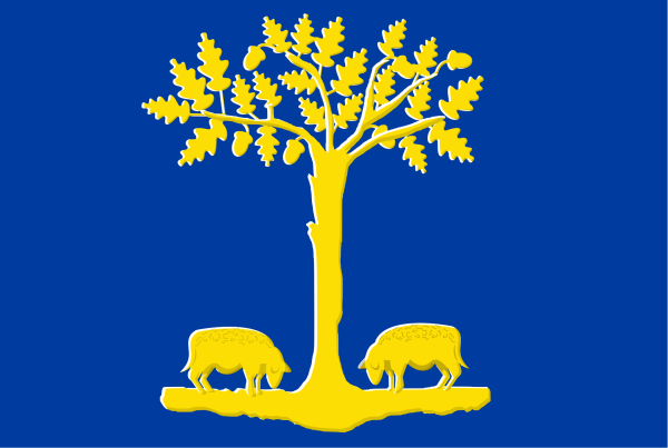 Vlag Lommel 120x180cm