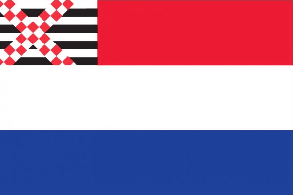 Vlag Nederland met inzet Loosdrecht 80x120cm