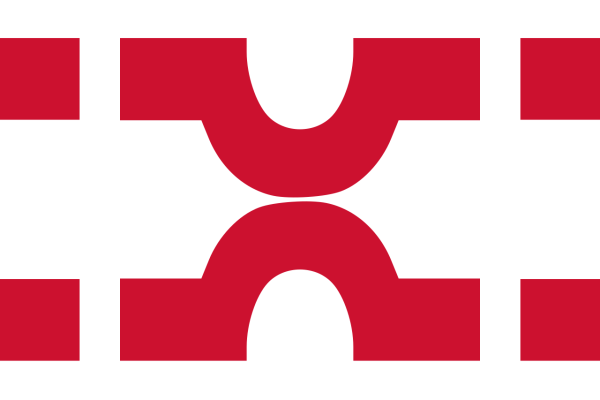 Vlag Losser 70x100cm