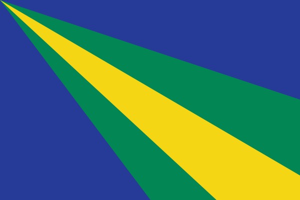 vlag Zeewolde 20x30cm